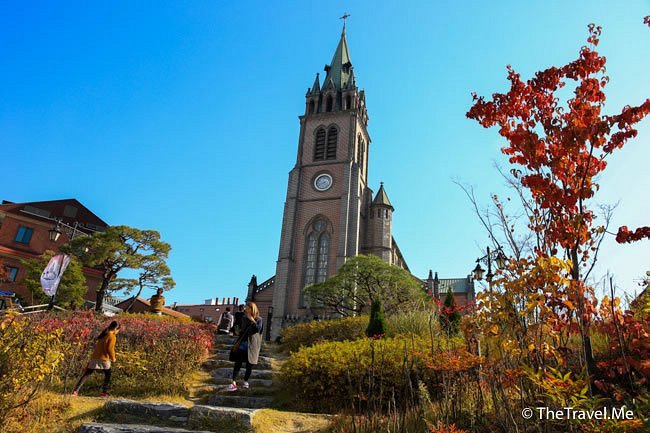 Hair, Glow & Royal Seoul